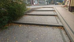 ul. Zielona (schody) - sprzątanie liści i usuwanie chwastów